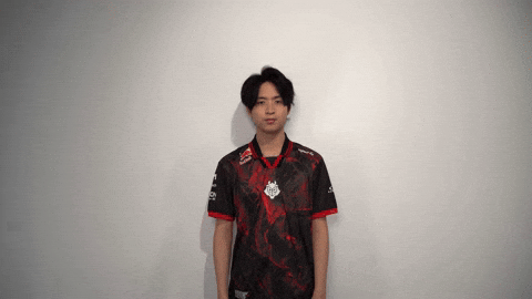 League Of Legends Lol GIF by G2 Esports