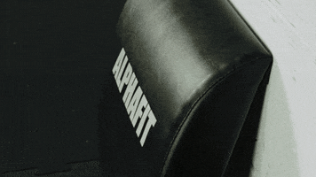 Fitness Push Up GIF by AlphaFit