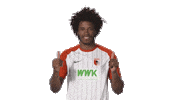 hang loose fc augsburg Sticker by Bundesliga