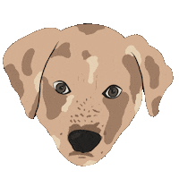 Best Friend Dog Sticker