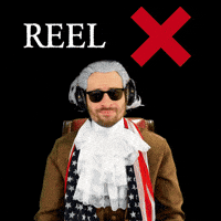 Real Life Reel GIF