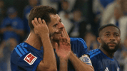 Bundesliga Timo GIF by FC Schalke 04