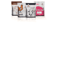 aliancaagrooficial santaines aliancaagro grupoalianca parceiroalianca Sticker