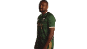 Portland Timbers Mls Sticker by Timbers
