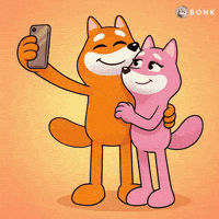 Selfie Posing GIF by BONK