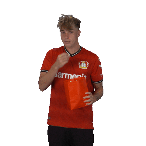 Excited Football Sticker by Bayer 04 Leverkusen