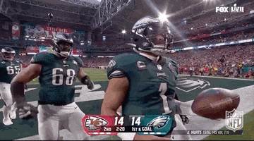 National Football League GIF by NFL