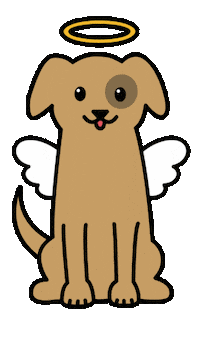 Dog Pet Sticker by respekTiere e.V.