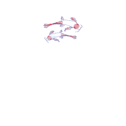 china swimming Sticker by Hilbrand Bos Illustrator