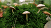 fall rain GIF by Living Stills