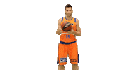 Liga Endesa Basketball Sticker by ACB