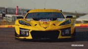 Corvette Racing GIF