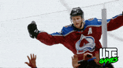 Colorado Avalanche Win GIF by WTF Leagues