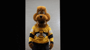 BdnWheatKings kings brandon willie wheat GIF