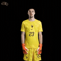 France Uefa GIF by Respective