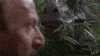 jurassic park GIF by IFC
