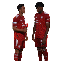 fcbayerncampus football soccer fussball interview Sticker