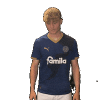 2 Bundesliga Football Sticker by Holstein Kiel