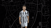 Svs1916 GIF by SV Sandhausen