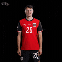Fifa World Cup Austria GIF by Respective