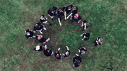 adapting_social celebrate team excitement team work GIF