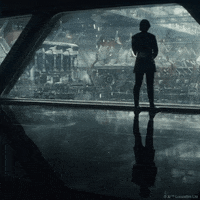 the last jedi GIF by Star Wars