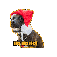 Dog Christmas Sticker