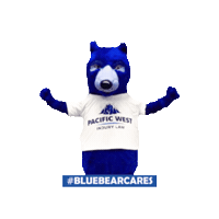 Blue Bear Sticker by Pacific West Injury Law