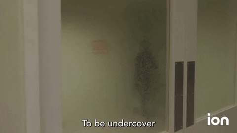 Ncis GIF by ION