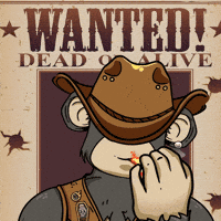 Good Morning Hello GIF