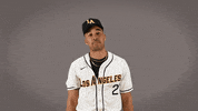 Cal State La Baseball GIF by Cal State LA Golden Eagles