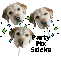 partypixsticks party dog celebration small business Sticker