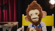 pop monkey GIF