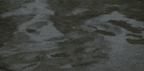 water river GIF by Charles Pieper