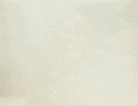 Dominic Fike Photo Id GIF by Remi Wolf