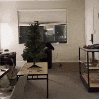 Cham GIF