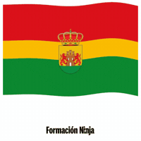 Bandera Malaga GIF by Formación Ninja