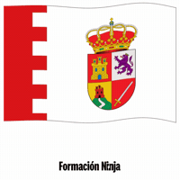 Bandera Andalucia GIF by Formación Ninja