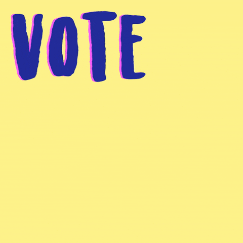 Voting 2020 Election GIF by INTO ACTION