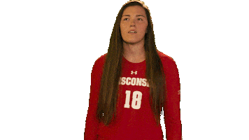 Wisconsin Volleyball Sport Sticker by Wisconsin Badgers
