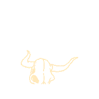 Country Outlaw Sticker by DEBUFFEL