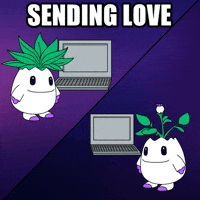 Wish You Were Here Love GIF by Magic Eden