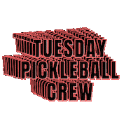 Pickleball Sticker