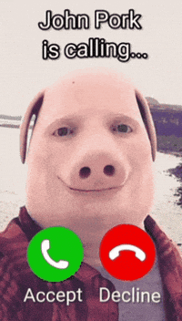 John Pork GIF by STRAPPED!