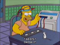angry homer simpson GIF