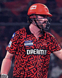 Cricket Ipl GIF