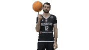 Basketball Ball Sticker by Beşiktaş