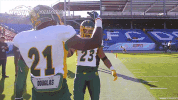 football bison GIF by NDSU Athletics