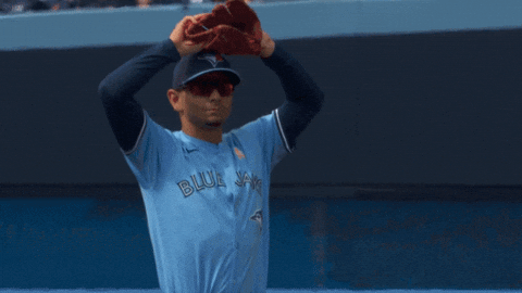 Blue Jays Baseball GIF by Toronto Blue Jays
