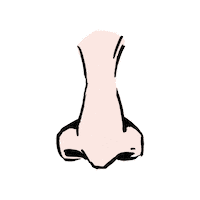 Face Nose Sticker